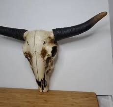 1 Retro Faux Steer Skull Longhorn Skull