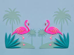 100 flamingo wallpapers wallpapers com
