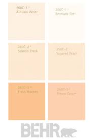 Behr Paints Peach Paint Painting