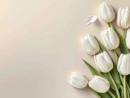 beautiful tulip flowers with copy e