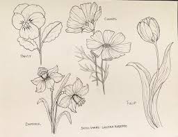 learn to draw flowers from simple