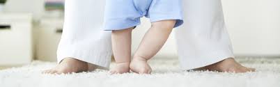 simply clean carpet care