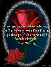 Flower good morning images wallpaper photo for whatsapp. New Good Morning Hindi Images Quotes Shayari Pictures Hd Photos