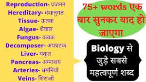 biology ke most common words biology