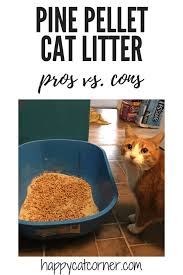 pine pellet cat litter pros and cons