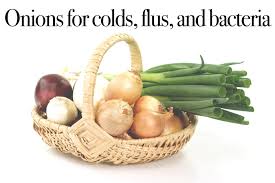 onions against colds flus and bacteria
