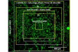 Microscope Camera Comparison Chart Cairn Research Ltd