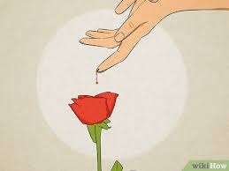 wikihow com images thumb a a9 white rose meani