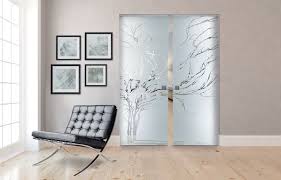 Pocket Glass Doors Elegant Doors