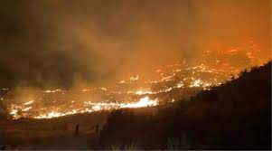 Marmaris'te yangın mı çıktı? (VİDEO) 21 Haziran Salı Muğla Marmaris'te  yangın mı oldu, yangın nerede çıktı, yangın söndürüldü mü? Son gelişmeler!  - Haberler