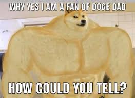 ## the wowest dogecoin memes on ## the wowest dogecoin memes on the internet ## ## dmemes8yre3yvrsuqn9vrgbkutwzzjseje ##. Swole Doge Know Your Meme