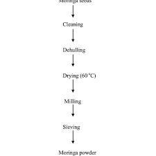 Flow Chart For The Production Of Moringa Powder Download