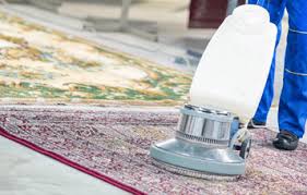 la carpet cleaning pros carpet
