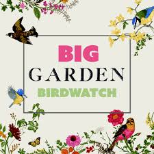 (especially hedgehogs, slow worms and grass snakes which. Big Garden Birdwatch 2021 Cannon Park Shopping Centre