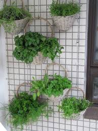 Vertical Gardening For Balcony Home