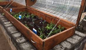 Raised Bed Hoop House And How To Build