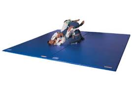 two layer deluxe martial arts training mat