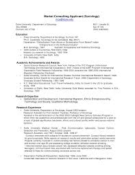 School Leaver Resume   free excel templates