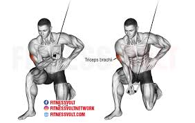 cable concentration tricep extension triceps exercise guides and videos