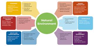 the natural environment system