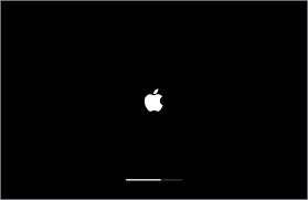 if your mac starts up to an apple logo