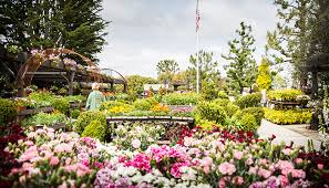 Rogers Gardens Home Garden