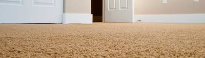 aaa carpet care