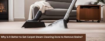 does carpet steam cleaning remove stains