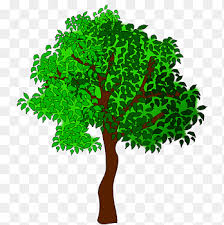 summer tree png images pngegg