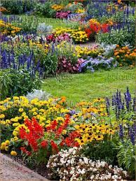 Flower Garden For Beginners