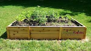 Cedar Fence Picket Raised Garden Beds