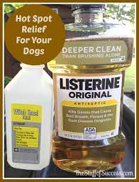 hot spot relief for your dogs relief