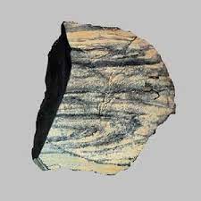 properties of oil shale physical