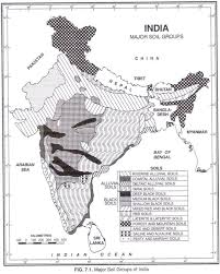 Soil Groups 8 Major Soil Groups Available In India