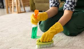 which carpet cleaning method is best