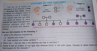 Plz Solve This Can You Try To Explain The Inheritance Of The