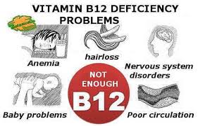 Image result for b12 deficiency causes