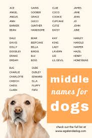 102 creative middle names for dogs boy