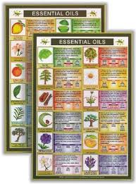 Essential Oils Mini Chart For Quick Reference