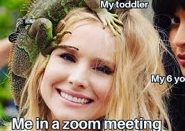 The virtual meeting platform has become a part of most of our daily lives, serving as our workplace, classroom, or if receiving another zoom meeting invitation makes you want to cry, it's our hope that these funny zoom memes will make you smile instead. 21 Very Funny Zoom Memes To Make You Lol During The Pandemic