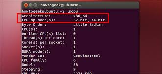 In settings window, click system. How To Check If Your Linux System Is 32 Bit Or 64 Bit