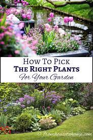 Best Plants For Your Garden