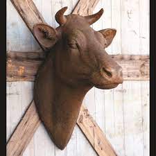 big brown wall mount cow head