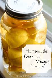 homemade lemon vinegar cleaner i