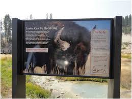 bison safety at a visitor use trail