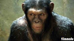 Maymunlar Cehennemi: Başlangıç (Rise of the Planet of the Apes) Türkçe  dublaj 1080p Full HD izle