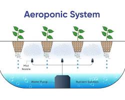 Aeroponics System