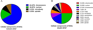 Pie Chart Representation Of Gene Ontology Go Mappings For