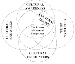 cultural competence essays nursing ep cultural competence and health cultural competence essays nursing