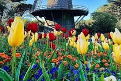 when-can-i-visit-queen-wilhelmina-tulip-garden